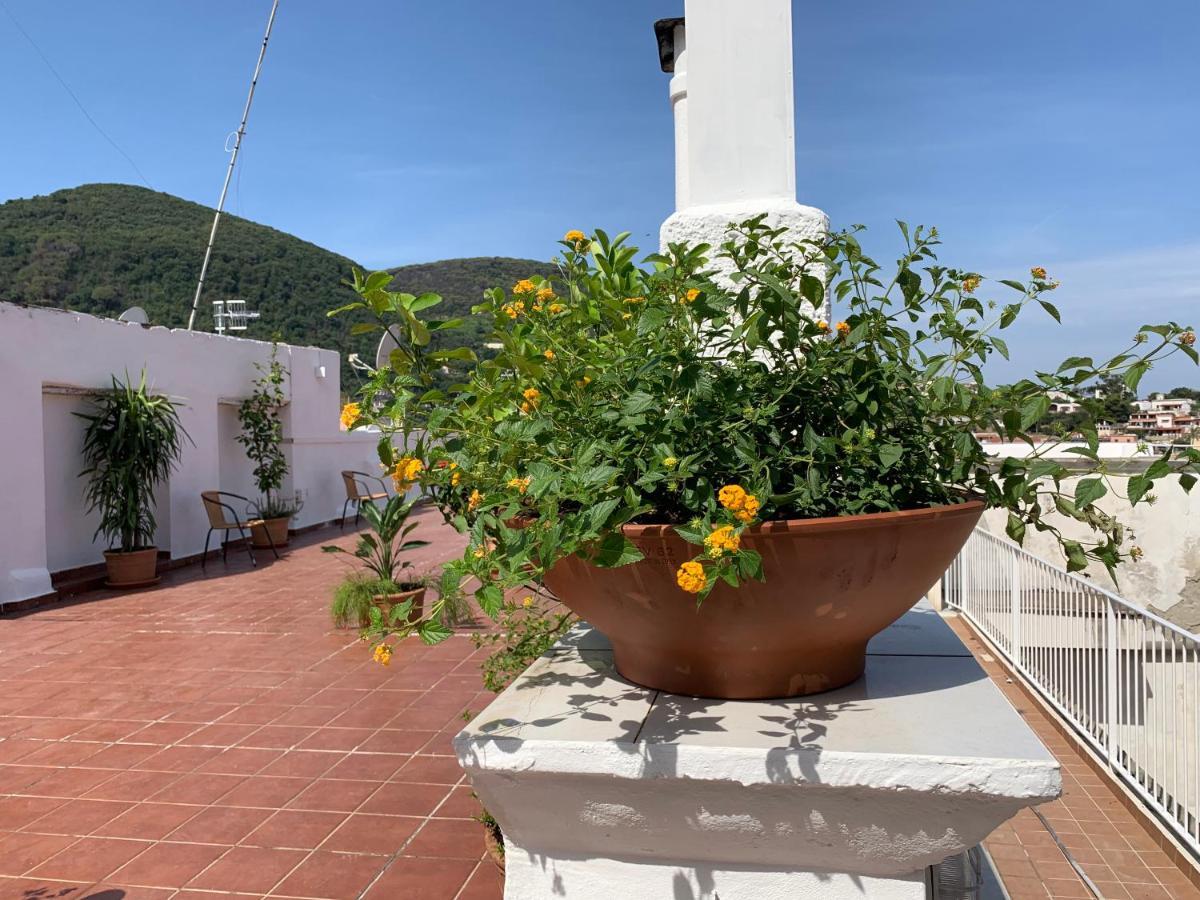 Bed and Breakfast Molo35 Искья Экстерьер фото
